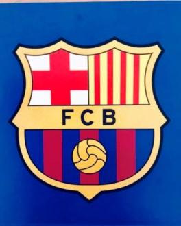 Top Brands FC Barcelona 140x200, 70x90cm